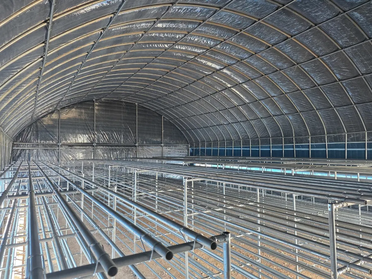Interior de un invernadero con las estanterías de cultivo instaladas